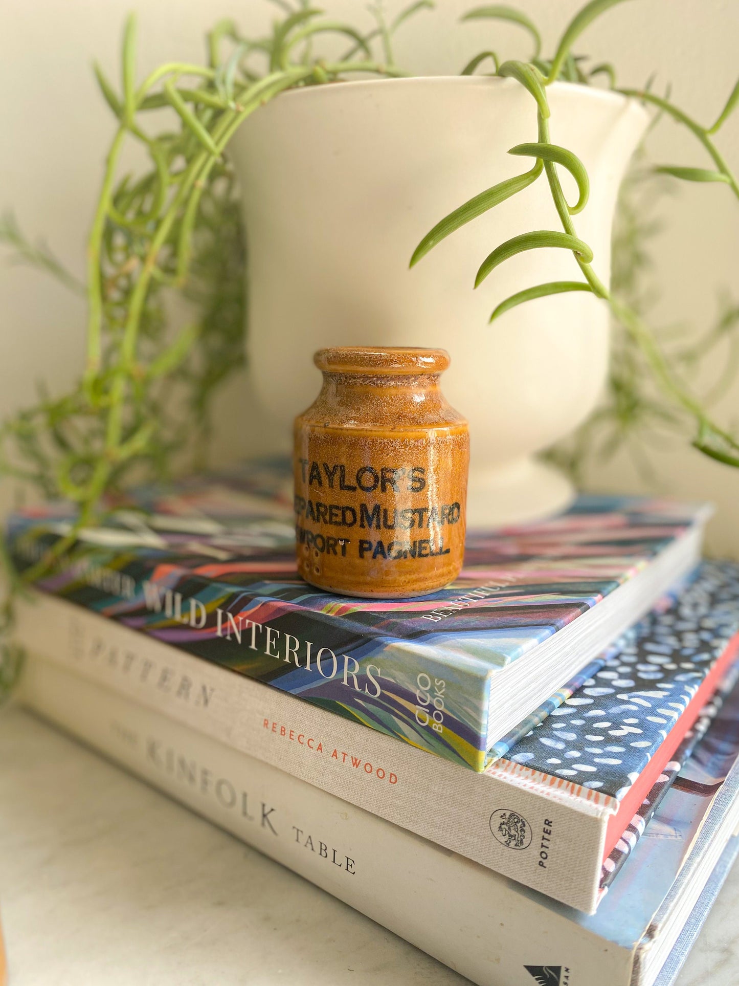 Antique Taylors Prepared Mustard Jar: Victorian England Collectible
