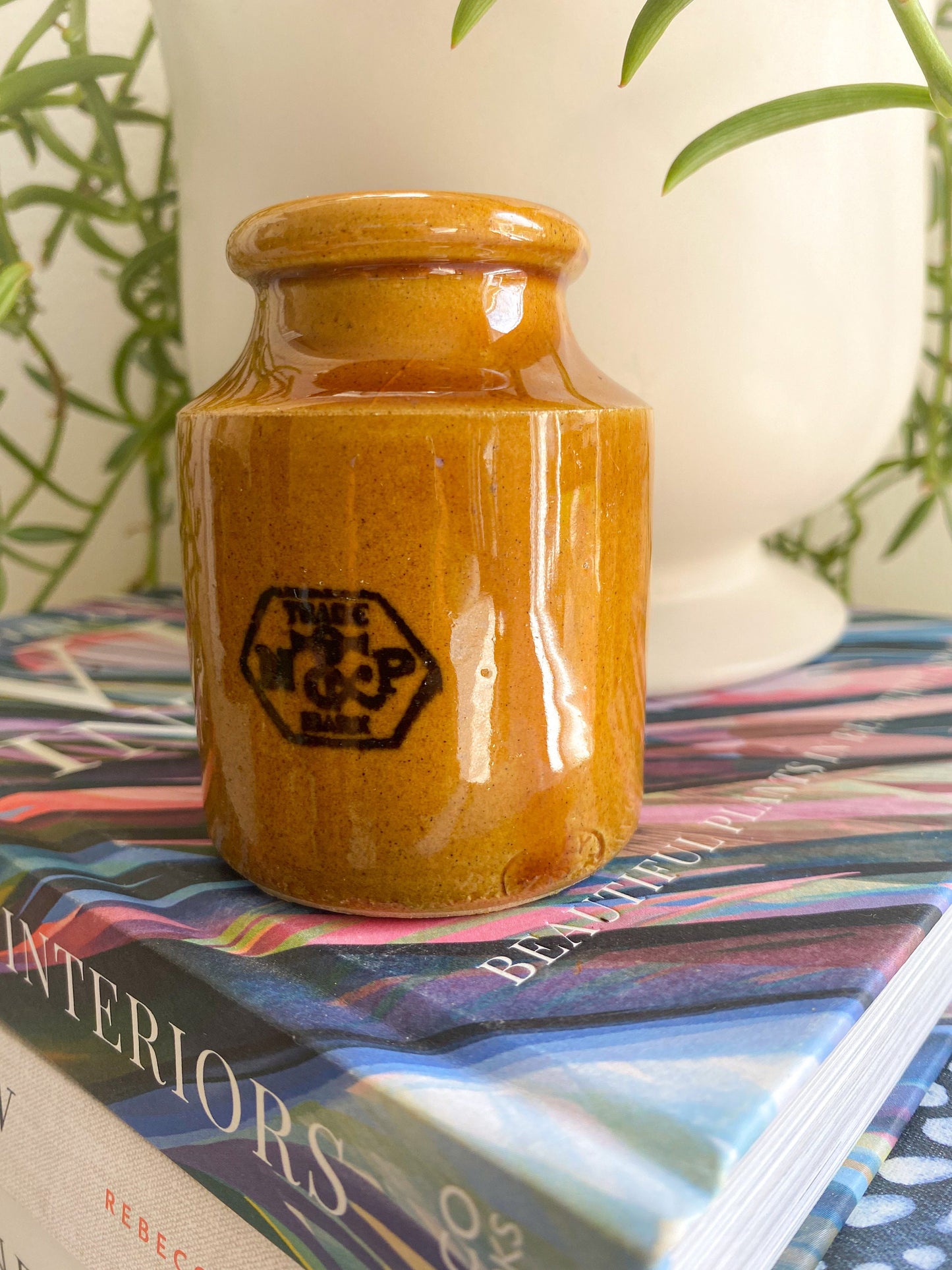 Antique Taylors Prepared Mustard Jar: Victorian England Collectible