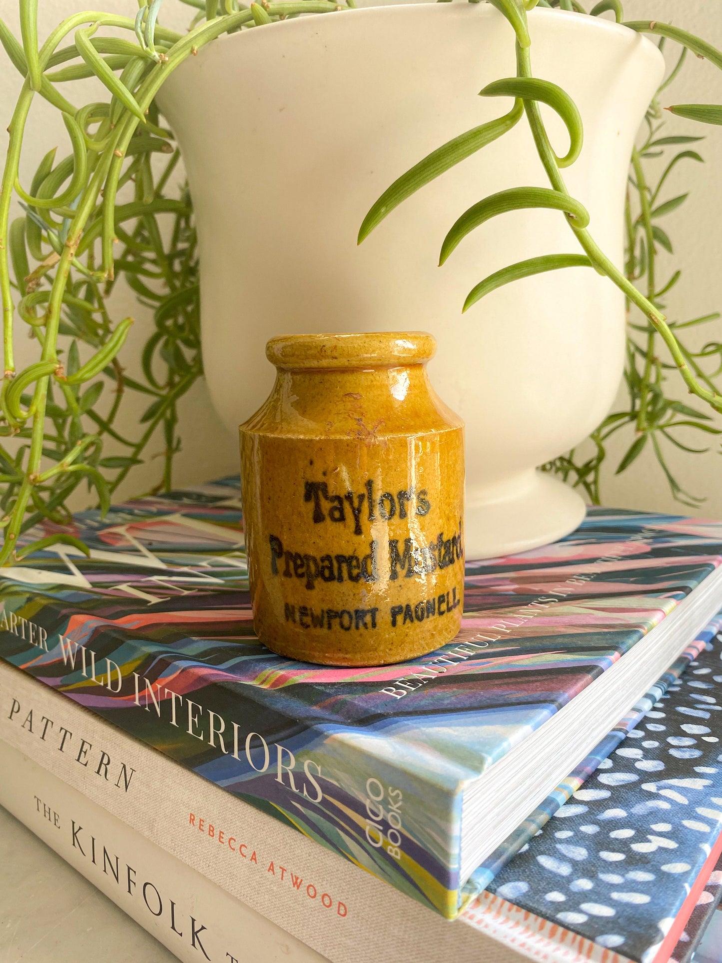 Antique Taylors Prepared Mustard Jar: Victorian England Collectible