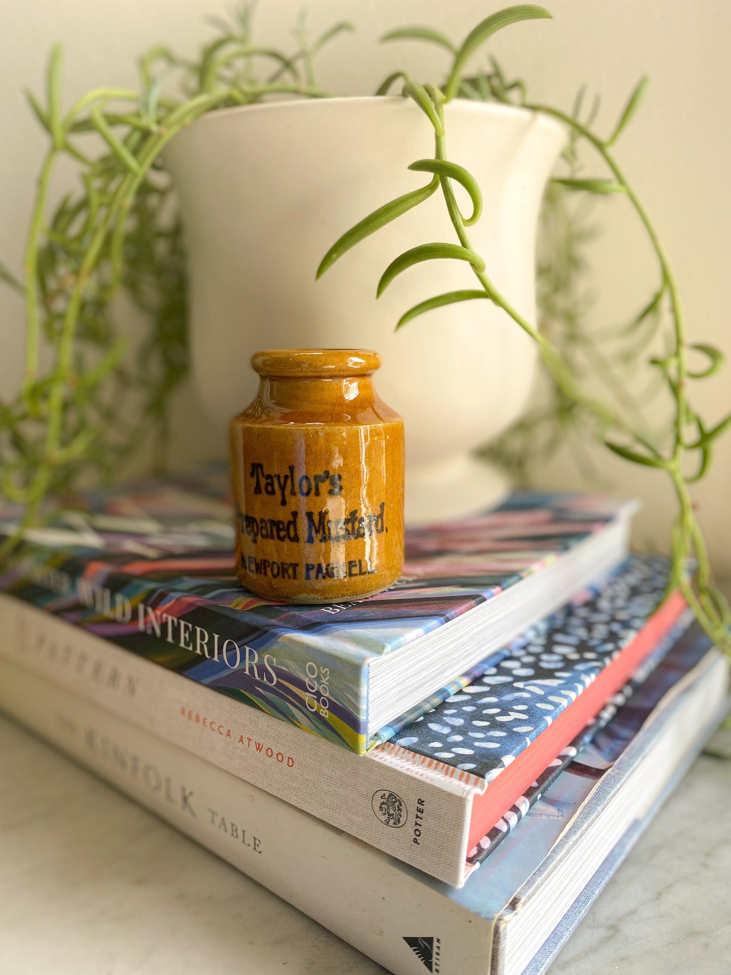 Antique Taylors Prepared Mustard Jar: Victorian England Collectible