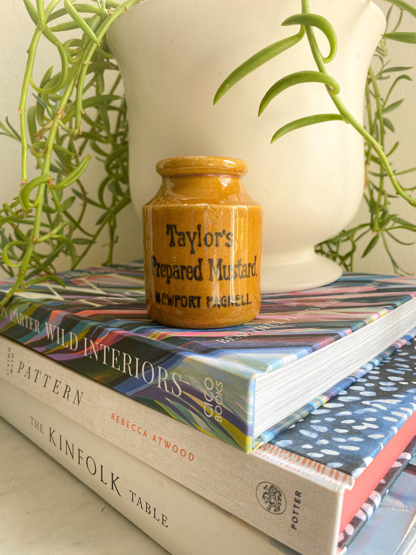 Antique Taylors Prepared Mustard Jar: Victorian England Collectible