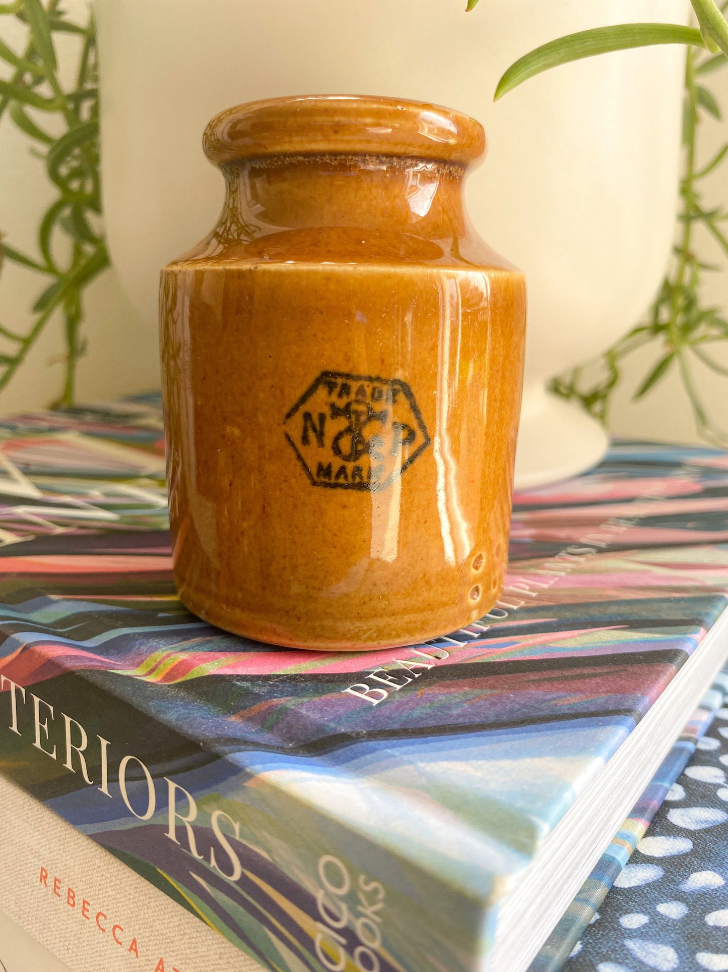 Antique Taylors Prepared Mustard Jar: Victorian England Collectible