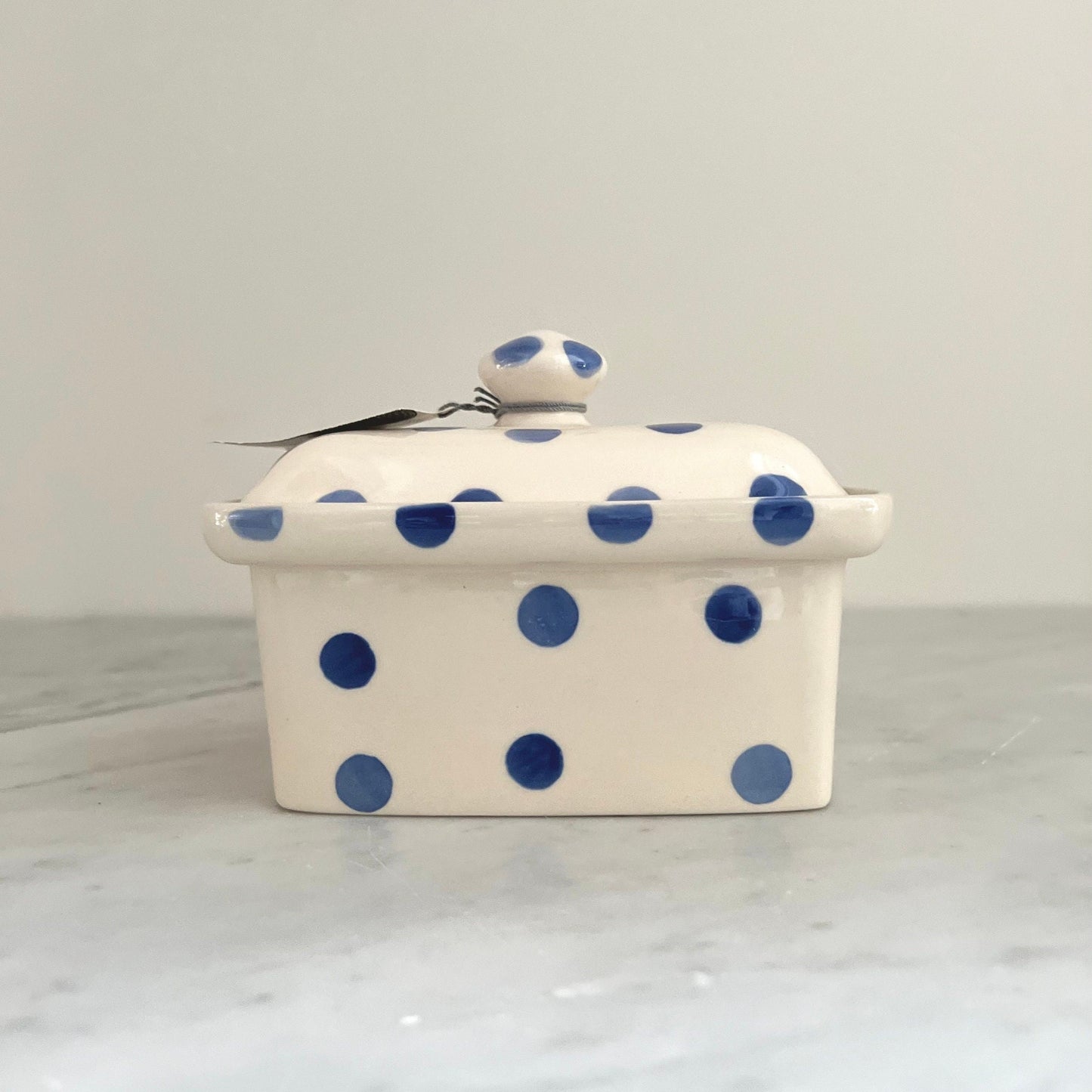 Vintage Moorland Blue Dot Tea Set: Staffordshire Pottery, England