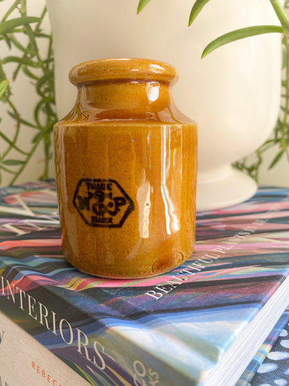 Antique Taylors Prepared Mustard Jar: Victorian England Collectible
