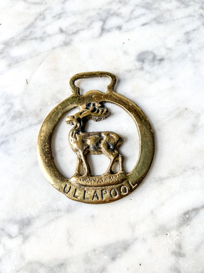 Vintage English Souvenir Horse Brass Medallion Harness Ornaments