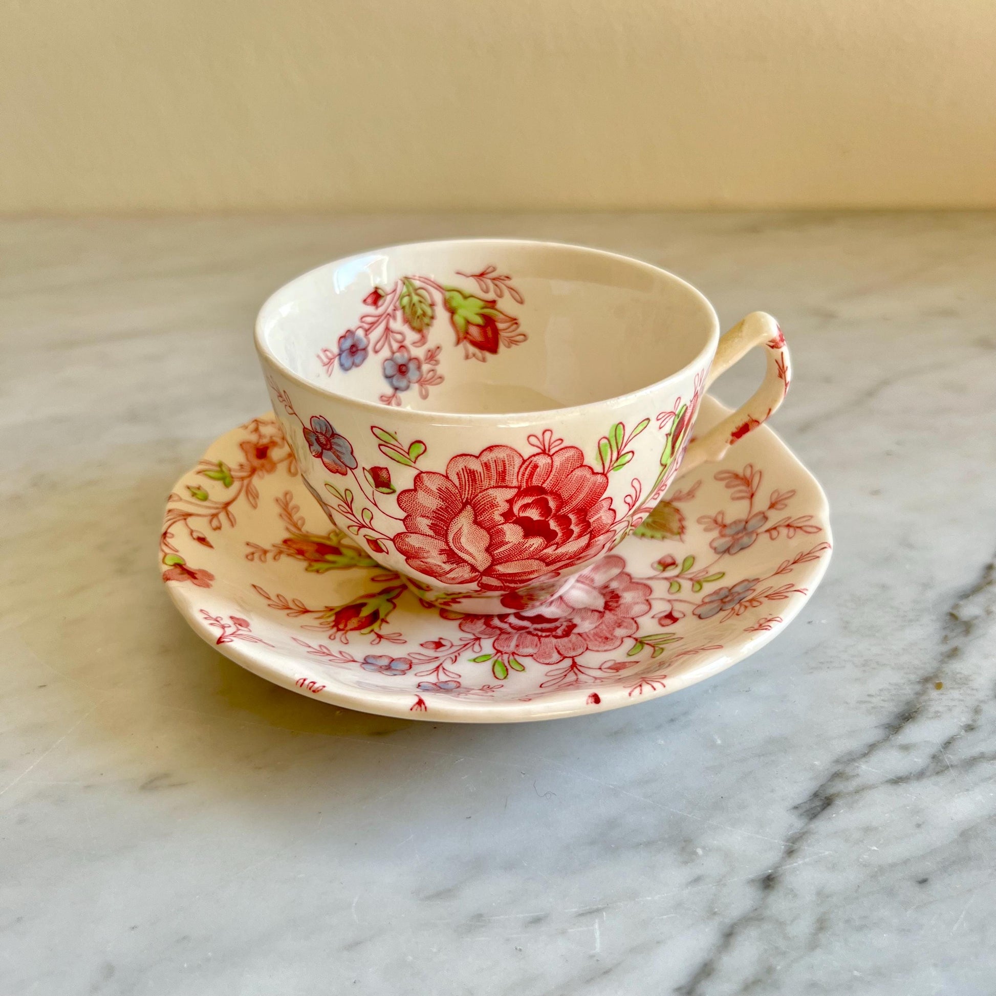Johnson Brothers Rose Chintz Teacup & Saucer